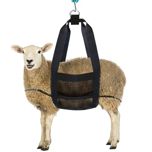 Reheyre Wadenschlinge zum Wiegen von Tieren, Lammwaage Hängende Gewichtswaage Schlinge mit D-Ring Verstellbar zum Wiegen von Lamm Baby Alpaka Neugeborenen Vieh Hunde Schwarz L Reheyre Wadenschlinge zum Wiegen von Tieren, Lammwaage Hängende Gewichtswaage Schlinge mit D-Ring Verstellbar zum Wiegen von Lamm Baby Alpaka Neugeborenen Vieh Hunde Schwarz L von Reheyre