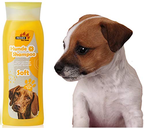 Entdecke das sensitiv Hundeshampoo für Deinen Hund - Pflege und Schutz für Tier und Fell - Das Welpenshampoo mit schonender Spülung - Für kämmbar gesundes Fell - Gegen unangenehmen Geruch 300ml von Reinex