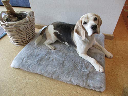Engel Naturfelle Liegedecke Teppich für Katze und Hund Lammfell (Patch) 140x60cm Silber grau von Reissner Lammfelle