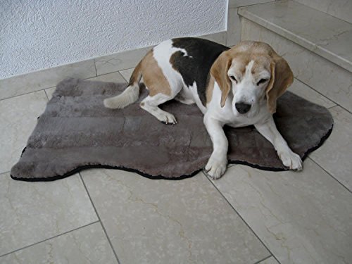 Engel Naturfelle Liegedecke für Katze und Hund Lammfell (Patch) Naturform Mushroom grau von Reissner Lammfelle