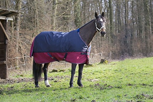 Pferdedecke Outdoor Decke Equitheme TYREX 1200 Denier Nylon Innenfutter, wasserdicht, atmungsaktiv, Kreuzgurte usw. 155 cm von Reitsport Amesbichler
