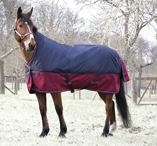 Pferdedecke Outdoor Decke High Neck Equitheme TYREX 1200 Denier Nylon Innenfutter, wasserdicht, atmungsaktiv, Kreuzgurte usw. 155 cm von Reitsport Amesbichler