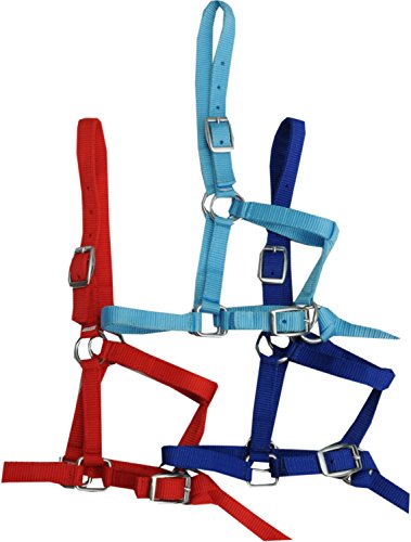 Reitsport Amesbichler Halfter für Minishetty Minipony Fohlen, Holzpferd rot Fohlenhalfter Shetty Halfter Nylon mit kurzer Führleine von Reitsport Amesbichler