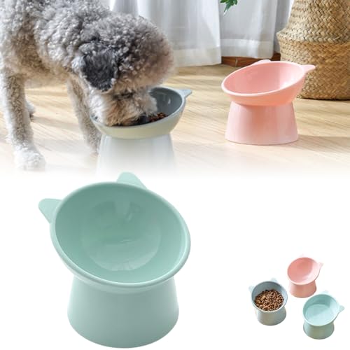 Ergonomic Cat Bowl, 45° Tilted Cat Food Bowl, Elevated Cat Food Bowl, Tall Pet Dog and Cat Food Bowl Puppy Cat Bowl (Green) von Rejckims