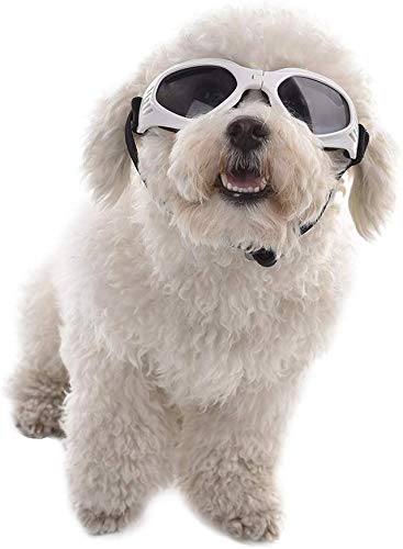 Rejoicing Haustier-Sonnenbrille in Herzform für Hunde, UV-Schutz, wasserdicht, winddicht, beschlagfrei, Katzen-Sonnenbrille (weiß) von Rejoicing