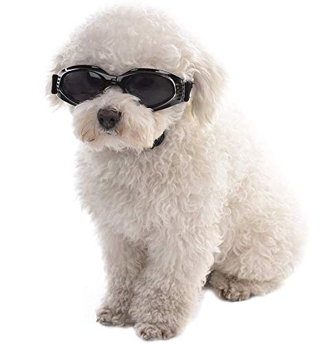Rejoicing Haustier-Sonnenbrille in Herzform für Hunde, Anti-UV-Schutzbrille, wasserdichte Katzenbrille, winddicht, Anti-Beschlag, Katzen-Sonnenbrille (schwarz) von Rejoicing