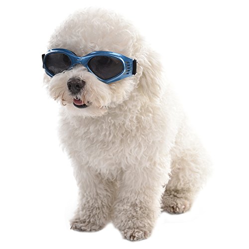 Rejoicing Haustier-Sonnenbrille in Herzform für Hunde, UV-Schutz, wasserdicht, winddicht, beschlagfrei, Katzen-Sonnenbrille (blau) von Rejoicing