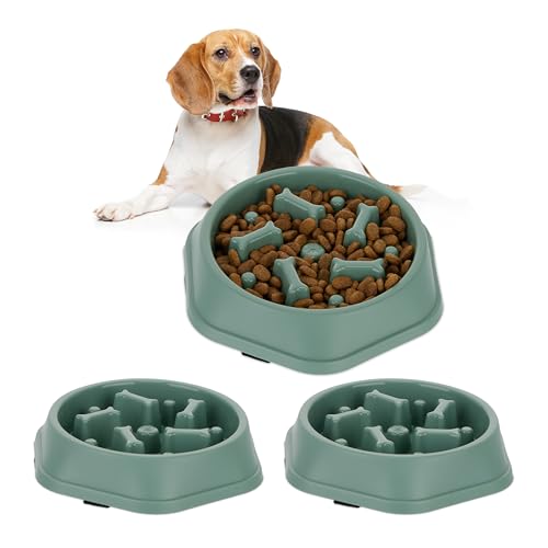 3 x Anti Schling Napf, Futternapf für Hunde, 500 ml, langsames Fressen, Hundenapf spülmaschinenfest, Tiernapf, grün (3) von Relaxdays