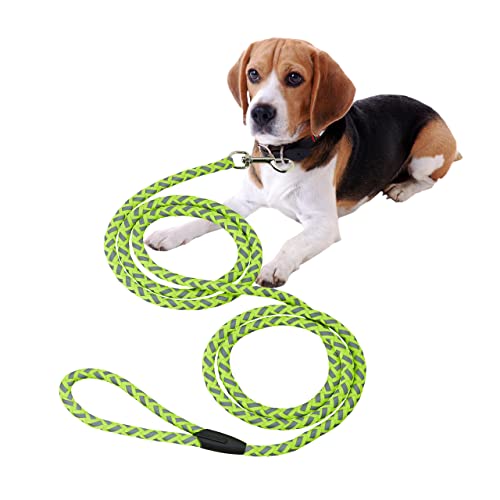 Relaxdays Hundeleine reflektierend, 2,5 m lang, mit Schlaufe, Leine für kleine & mittelgroße Hunde, bis 17 kg, grün/grau von Relaxdays