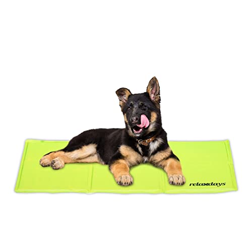 Relaxdays Kühlmatte Hund, 50 x 90 cm, selbstkühlende Hundematte, Gel, abwischbar, Kühlunterlage für Haustiere, grün von Relaxdays