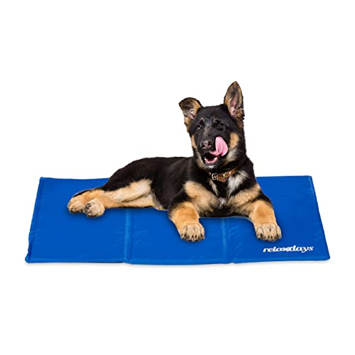 Relaxdays Kühlmatte Hund, 60 x 90 cm, selbstkühlende Hundematte, Gel, abwischbar, Kühlunterlage für Haustiere, blau Relaxdays Kühlmatte Hund, 60 x 90 cm, selbstkühlende Hundematte, Gel, abwischbar, Kühlunterlage für Haustiere, blau von Relaxdays