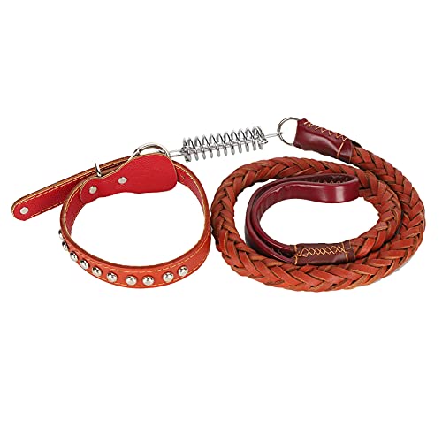 Hundeleine & Kragen Set | Sicher - verlorenes Haustier Walking Lash für große/mittlere Hunde | 2 - Schicht künstliches Leder, 50,6 -Zoll -Einziehungsleine mit Stoßdämpfer (Brown) von Reliant Jazzy