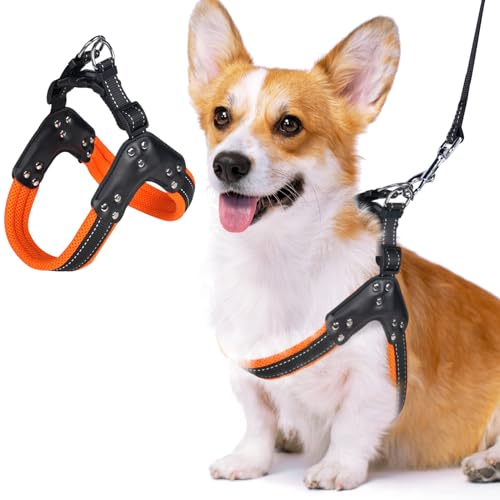 Hundegeschirr gegen Ziehen, verstellbar, bequem, kein Würgen, gepolstertes Netzgewebe, für Spaziergänge, Zug, Welpen, Hundegeschirr für kleine und mittelgroße Hunde, Orange, Größe M Hundegeschirr gegen Ziehen, verstellbar, bequem, kein Würgen, gepolstertes Netzgewebe, für Spaziergänge, Zug, Welpen, Hundegeschirr für kleine und mittelgroße Hunde, Orange, Größe M von Relux