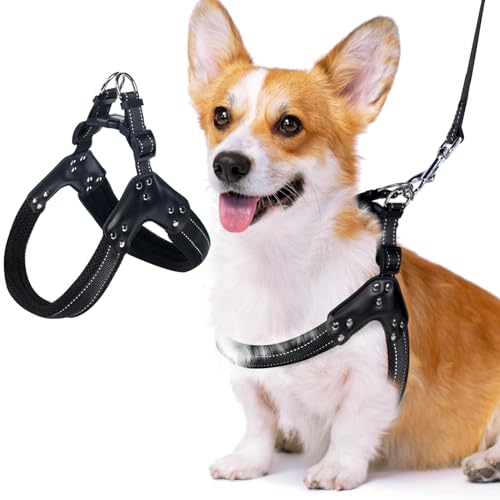 Hundegeschirr gegen Ziehen, verstellbar, bequem, kein Würgen, gepolstertes Netzgewebe, für Spaziergänge, Zug, Welpen, Hundegeschirr für kleine und mittelgroße Hunde, Schwarz, Größe M Hundegeschirr gegen Ziehen, verstellbar, bequem, kein Würgen, gepolstertes Netzgewebe, für Spaziergänge, Zug, Welpen, Hundegeschirr für kleine und mittelgroße Hunde, Schwarz, Größe M von Relux