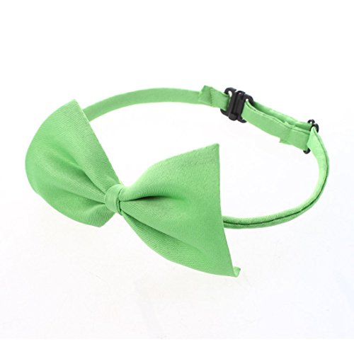 Remingtape Hund Katze Haustierkragen Zubehoer Fliege Krawatte Gruen 2 Stueck Remingtape Hund Katze Haustierkragen Zubehoer Fliege Krawatte Gruen 2 Stueck von Remingtape