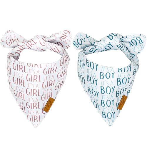 Remy+Roo Hundehalstücher – 2 Stück | Gender Reveal Set | Premium Durable Fabric | Einzigartige Form | Verstellbare Passform | Mehrere Größen angeboten (XL) von Remy+Roo