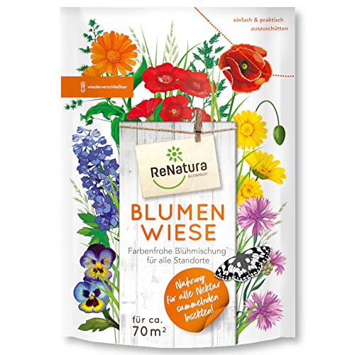 ReNatura® Blumenwiese 0,5 kg Blumen Gräser Blühmischung Insekten Vögel von Renatura