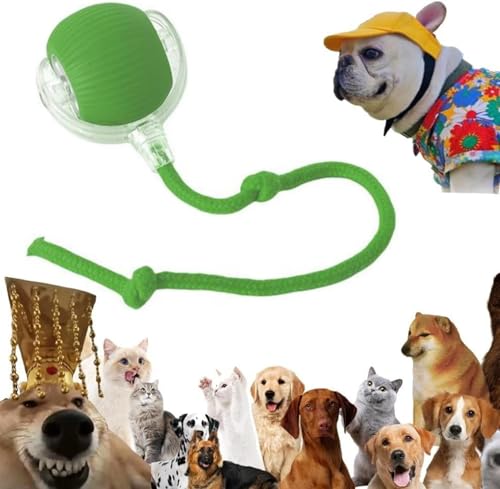 Interaktives Katzenball Spielzeug - Elektrisch Katzenball Katzenspielzeug | Katzen Sprint Ball | Indoor Katzenspielzeug Elektrischer Katzen Spielzeug Für Interaktion, Drinnen, Spielen, Kleine Katze Interaktives Katzenball Spielzeug - Elektrisch Katzenball Katzenspielzeug | Katzen Sprint Ball | Indoor Katzenspielzeug Elektrischer Katzen Spielzeug Für Interaktion, Drinnen, Spielen, Kleine Katze von Renchey