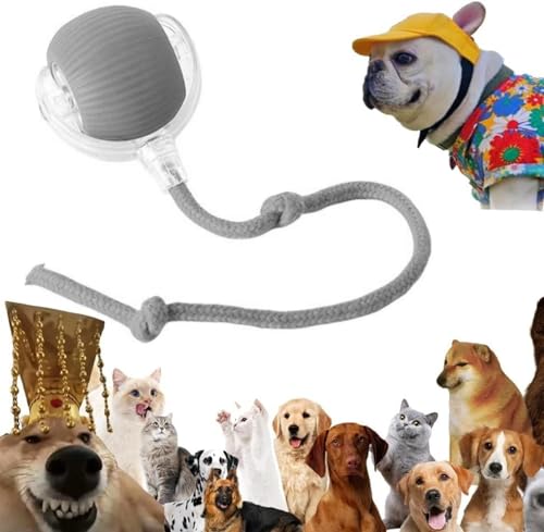Interaktives Katzenball Spielzeug - Elektrisch Katzenball Katzenspielzeug | Katzen Sprint Ball | Indoor Katzenspielzeug Elektrischer Katzen Spielzeug Für Interaktion, Drinnen, Spielen, Kleine Katze Interaktives Katzenball Spielzeug - Elektrisch Katzenball Katzenspielzeug | Katzen Sprint Ball | Indoor Katzenspielzeug Elektrischer Katzen Spielzeug Für Interaktion, Drinnen, Spielen, Kleine Katze von Renchey