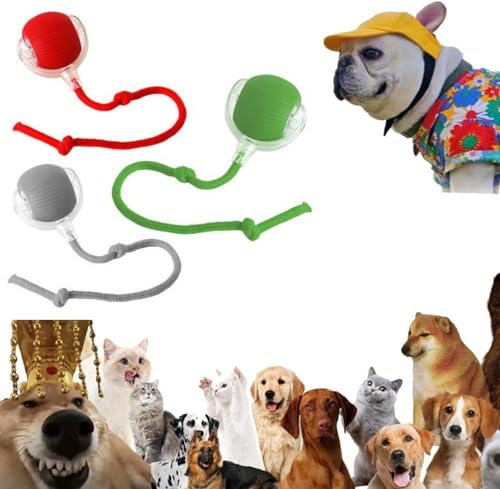 Interaktives Katzenball Spielzeug - Elektrisch Katzenball Katzenspielzeug | Katzen Sprint Ball | Indoor Katzenspielzeug Elektrischer Katzen Spielzeug Für Interaktion, Drinnen, Spielen, Kleine Katze Interaktives Katzenball Spielzeug - Elektrisch Katzenball Katzenspielzeug | Katzen Sprint Ball | Indoor Katzenspielzeug Elektrischer Katzen Spielzeug Für Interaktion, Drinnen, Spielen, Kleine Katze von Renchey