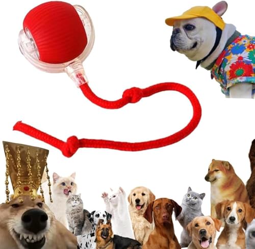 Interaktives Katzenball Spielzeug - Elektrisch Katzenball Katzenspielzeug | Katzen Sprint Ball | Indoor Katzenspielzeug Elektrischer Katzen Spielzeug Für Interaktion, Drinnen, Spielen, Kleine Katze Interaktives Katzenball Spielzeug - Elektrisch Katzenball Katzenspielzeug | Katzen Sprint Ball | Indoor Katzenspielzeug Elektrischer Katzen Spielzeug Für Interaktion, Drinnen, Spielen, Kleine Katze von Renchey