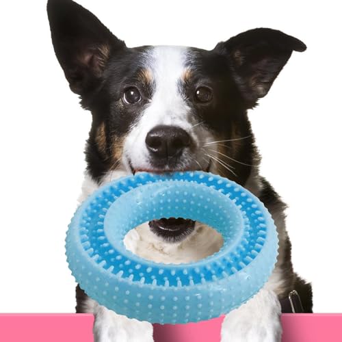 Renchey Beißspielzeug für kleine Hunde, Kauspielzeug für Welpen,Kauspielzeug für Welpen in Bananenform - Interaktives Hundespielzeug, Hundepuzzlespielzeug, Zahnreinigungsspielzeug für Welpen im Innen- Renchey Beißspielzeug für kleine Hunde, Kauspielzeug für Welpen,Kauspielzeug für Welpen in Bananenform - Interaktives Hundespielzeug, Hundepuzzlespielzeug, Zahnreinigungsspielzeug für Welpen im Innen- von Renchey