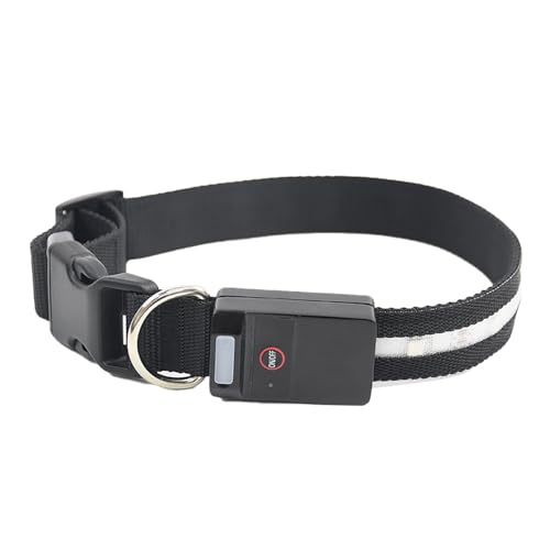 Renchey LED-Hundehalsband, beleuchtete Halsbänder für Hunde bei Nacht | Leuchtendes Halsband Buntes wiederaufladbares LED-Hundehalsband - Leuchtendes Hundegeschirr, Hundelichthalsband für Outdoor, Renchey LED-Hundehalsband, beleuchtete Halsbänder für Hunde bei Nacht | Leuchtendes Halsband Buntes wiederaufladbares LED-Hundehalsband - Leuchtendes Hundegeschirr, Hundelichthalsband für Outdoor, von Renchey