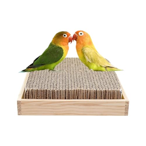 Renchey Vogelkäfig Sitzstange | Pappe Zerleg Spielzeug,Spiel Sitzplatz Für Voliere Finken Nymphensittiche Aras Wellensittiche Käfig Vögel Knabbern Renchey Vogelkäfig Sitzstange | Pappe Zerleg Spielzeug,Spiel Sitzplatz Für Voliere Finken Nymphensittiche Aras Wellensittiche Käfig Vögel Knabbern von Renchey