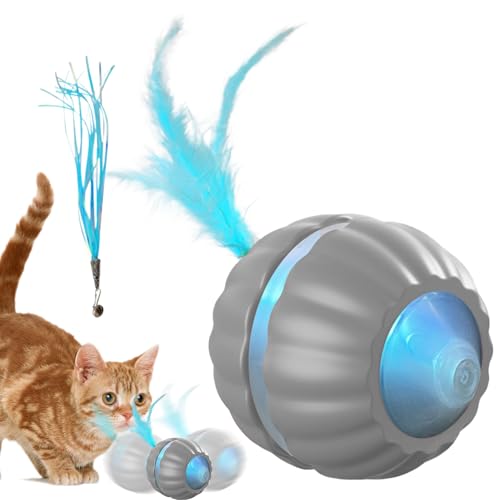 Renopfect Elektrisches Katzen Spielzeug - Automatisches Spielzeug Ball Für Katzen - Elektrische Intelligente Spielzeugrolle Gegen Langeweile Jagdspiel Für Drinnen Renopfect Elektrisches Katzen Spielzeug - Automatisches Spielzeug Ball Für Katzen - Elektrische Intelligente Spielzeugrolle Gegen Langeweile Jagdspiel Für Drinnen von Renopfect