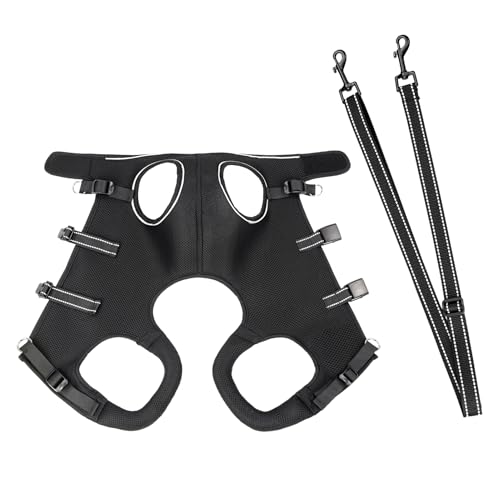 Renopfect Hundehilfsgurt Zum Heben, Beinunterstützung & Reha-Gurt Für Welpen, Atmungsaktives & Verstellbares Stützgeschirr Für Ältere Hunde Bei Spaziergängen von Renopfect