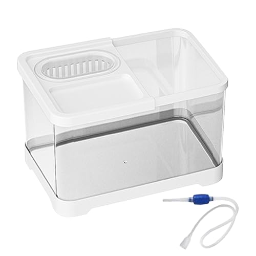 Renopfect Kleines Aquarium, Desktop Betta-Aquarium, Klare Landschaftsbecken Für Guppys Schnecken Schildkröten Haustierliebhaber Anfänger Schreibtisch Wohnung Renopfect Kleines Aquarium, Desktop Betta-Aquarium, Klare Landschaftsbecken Für Guppys Schnecken Schildkröten Haustierliebhaber Anfänger Schreibtisch Wohnung von Renopfect
