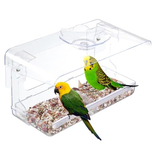 Renopfect Vogelhäuschen Fenster,Vogelhaus Fenster Vogelhäuschen - Vogelhäuschen | Transparentes Vogelfutterfenster für Gartendekoration, eichhörnchensichere Wildvogelbeobachtung, transparente Renopfect Vogelhäuschen Fenster,Vogelhaus Fenster Vogelhäuschen - Vogelhäuschen | Transparentes Vogelfutterfenster für Gartendekoration, eichhörnchensichere Wildvogelbeobachtung, transparente von Renopfect