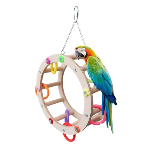 Renopfect Vogelspielzeugleiter | Vogelkletterspielzeug | Vogelfutter Spielzeug Papagei Riesenrad Spielzeug für Eichhörnchen Papagei, Spatz, Sittich Renopfect Vogelspielzeugleiter | Vogelkletterspielzeug | Vogelfutter Spielzeug Papagei Riesenrad Spielzeug für Eichhörnchen Papagei, Spatz, Sittich von Renopfect
