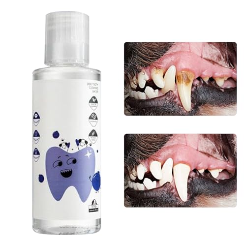 Renopfect Wasser Zusatz Für Hunde - Natürliche Geruchlose Maulspülung Lösung - Hunde Frischer Wasser Zusatz | Für Welpen & Alle Rassen von Renopfect
