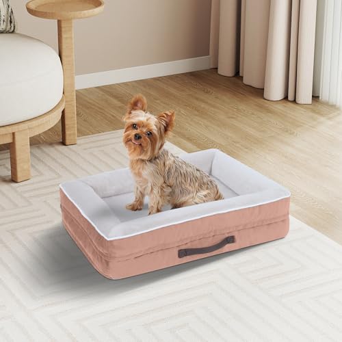 Renvix Orthopädisches Katzenbett, mittelgroß, wasserdichtes Hundesofa mit abnehmbarem, waschbarem Bezug, weiches Eierschaum-Haustierbett, rutschfeste Unterseite und vierseitiges Nackenrollenkissen von Renvix