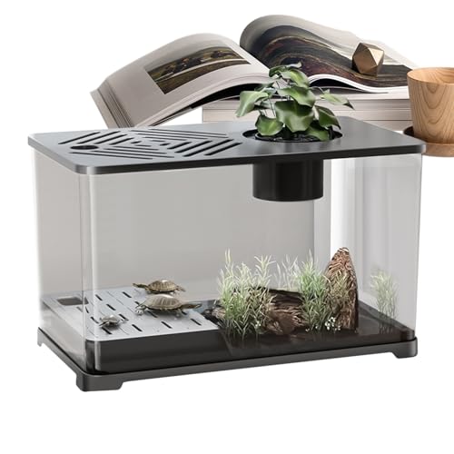 Aquarium Becken - Großes Aquarium-Set Schreibtisch Fischbecken,Modernes Panorama Behältnis als Tischdekoration für Fische Schildkröten Pflanzen Aquarium Becken - Großes Aquarium-Set Schreibtisch Fischbecken,Modernes Panorama Behältnis als Tischdekoration für Fische Schildkröten Pflanzen von Renywosi