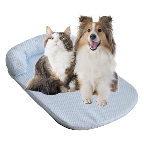 Hundebett, kühlend, waschbar, mit Nackenrolle, rutschfest, waschbar, für Haustier, Katze, Boden, Frühling, Geburtstag Hundebett, kühlend, waschbar, mit Nackenrolle, rutschfest, waschbar, für Haustier, Katze, Boden, Frühling, Geburtstag von Renywosi
