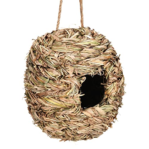 Renywosi Vogelhaus für draußen, Schilf, trocken, Voliere für den Außenbereich, Vogelhaus, hängend, Vogelhaus für Schwalbe, Spatz, Kolibri, Rotkehlchen, 11 x 13 cm Renywosi Vogelhaus für draußen, Schilf, trocken, Voliere für den Außenbereich, Vogelhaus, hängend, Vogelhaus für Schwalbe, Spatz, Kolibri, Rotkehlchen, 11 x 13 cm von Renywosi
