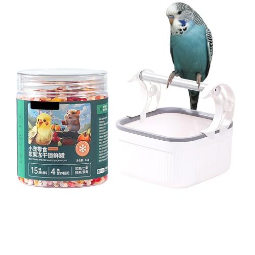 Tabletop Vogelstange Ständer - Tragbarer Ruheständer - Vogelkäfig Spielzeug, Sitzstange Gym für Sittiche, , Wellensittiche, Finken, Lovebirds Tabletop Vogelstange Ständer - Tragbarer Ruheständer - Vogelkäfig Spielzeug, Sitzstange Gym für Sittiche, , Wellensittiche, Finken, Lovebirds von Renywosi