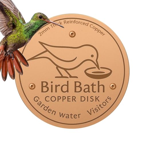 Wasserbrunnenscheibe für Vogelbad, Vogeltränken-Reiniger, Futterspender-Zubehör, Dreipunktunterstützung, Reinigerplatte für Terrasse, , Garten, Schüssel, Rasen, Ganzjahreszeit Wasserbrunnenscheibe für Vogelbad, Vogeltränken-Reiniger, Futterspender-Zubehör, Dreipunktunterstützung, Reinigerplatte für Terrasse, , Garten, Schüssel, Rasen, Ganzjahreszeit von Renywosi