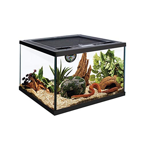 Glas-Terrarium Push Up mit Belüftungsöffnung und Futterloch für Lebende Reptilien Bartagamen, Leguan (30,5 x 30,5 x 20,3 cm) von Rep Buddy