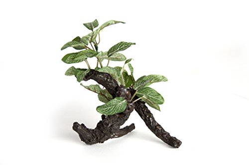 RepTech Künstliche Pflanze, kleiner Ficus auf Ast von RepTech
