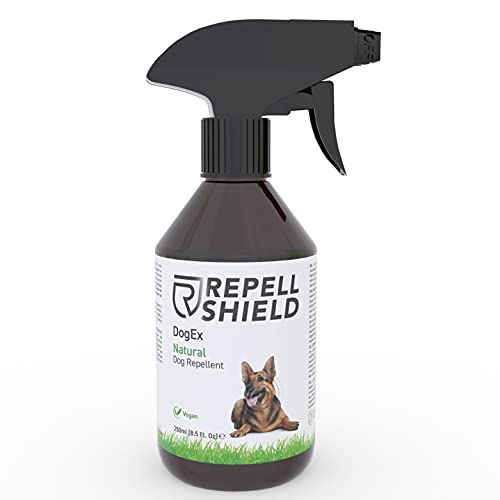 RepellShield Veganes Hundeschreck Spray - Mit unserem natürlichen und schonenden Fernhaltespray Hunde vertreiben, Harmloses Anti Hunde Spray als Hundeabwehr Gartenprodukt, Hunde Fernhaltespray - 250ml von RepellShield