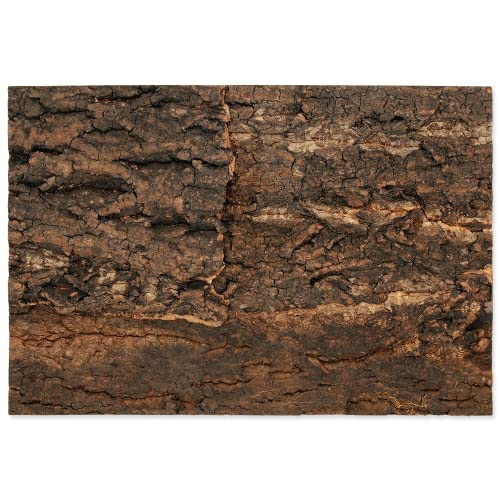 ReptiPlanet Background Cork Natural 28,5x41x2cm ReptiPlanet Background Cork Natural 28,5x41x2cm von ReptiPlanet