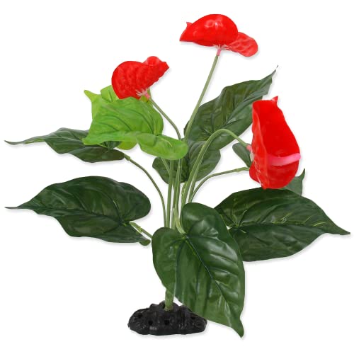 ReptiPlanet Plant Anthurium 40cm von ReptiPlanet