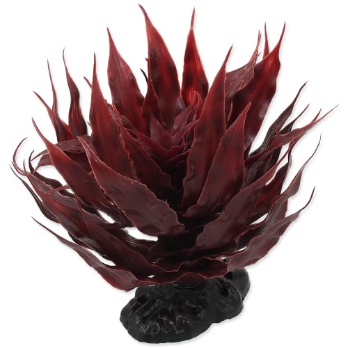 ReptiPlanet Plant sukulent Agave red 18cm von ReptiPlanet