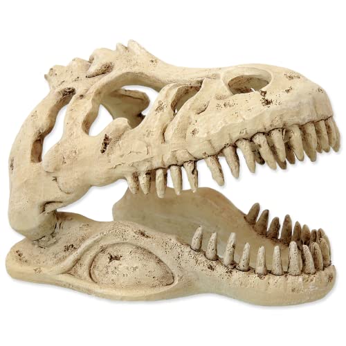 ReptiPlanet Small T-Rex Skull von ReptiPlanet