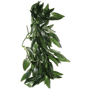 ReptiZoo Efeu (Heternanthera zosterifolia) Kunststoffpflanze ca. 50 cm (TP001 20") von ReptiZoo