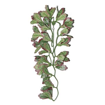 ReptiZoo Kunststoffpflanze (VAR marginatum) ca. 30 cm TP006 (12) von ReptiZoo
