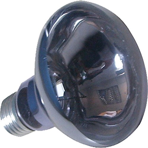 ReptiZoo B95150 Daylight Lampe 150 W von ReptiZoo
